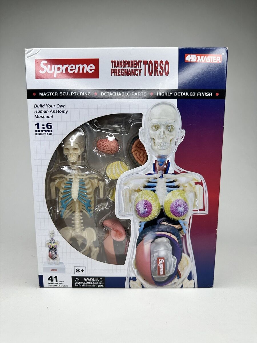New Supreme 4D Master Human Anatomy Model Female Transparent New Supreme 4D Master Human Anatomy Model Female Transparent