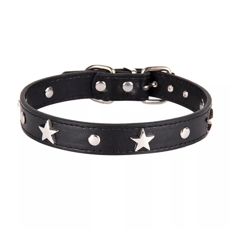 Black studded hotsell cat collar