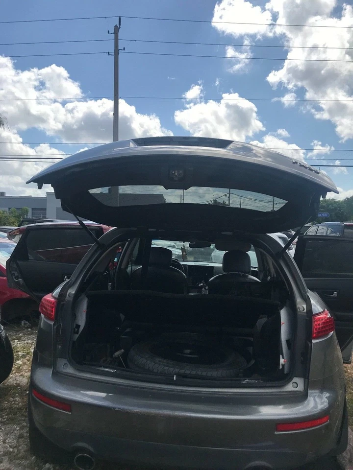 Infiniti FX35 FX45 03-08, conjunto puerta trasera derecha/lado pasajero, gris 08 OEM Foto 4 de 4