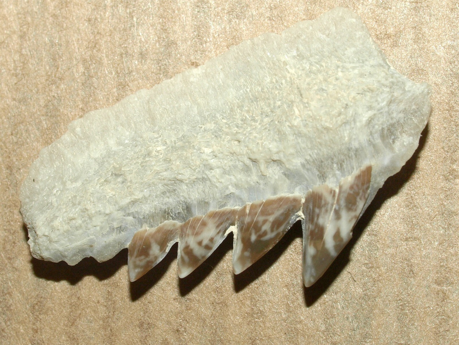 Picture 6 of 11