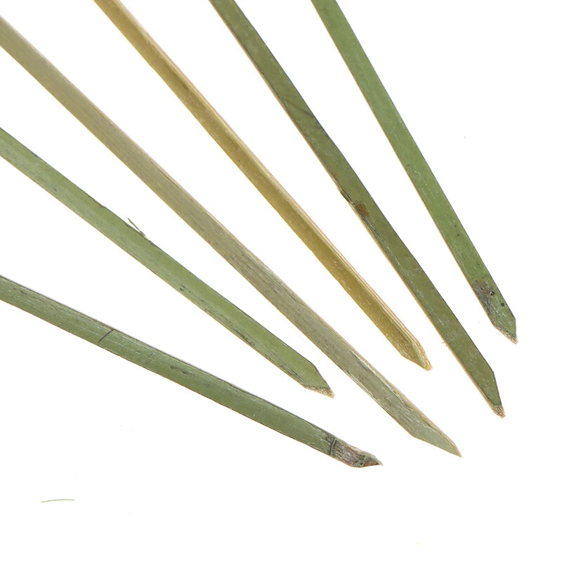 100pcs Bamboo Knot Skewers Cocktail Picks for Cocktail Party Snacks Sandwich - image 4 of 4