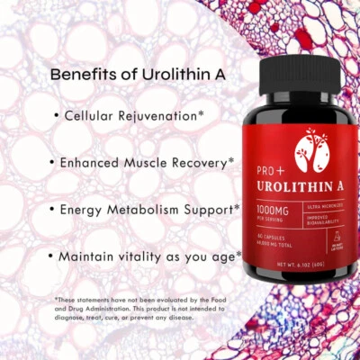 CLAPP Urolithin A Capsules -1000 mg capsules