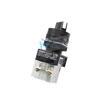 Two position selector switch K22-41K/- L/- S2R/- L2R short and long handle optio