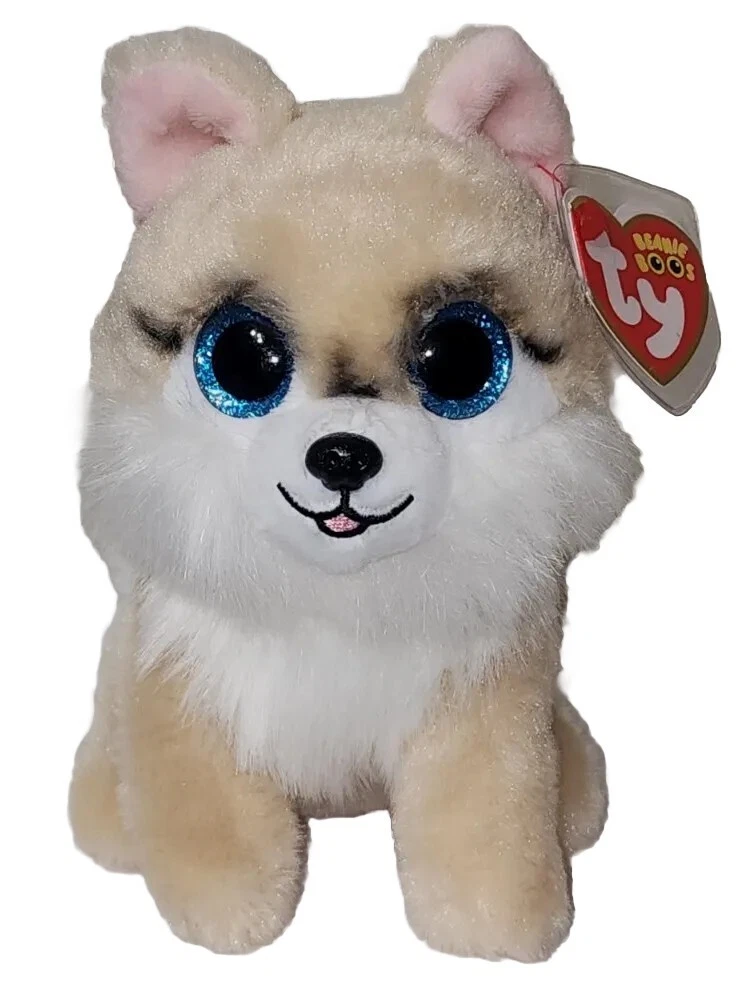 Ty Beanie Boos HONEYCOMB the Corgi Dog (6 Inch) 2023 NEW MWMT