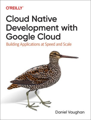 Programming Cloud Native Applications with Google Cloud: Building Applications