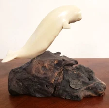 Vintage John Perry Beluga Whale Sculpture On Knotwood With Branding Plaque