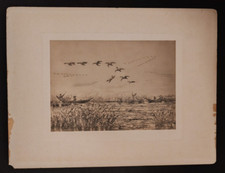 CACCIA ALLE ANATRE ANTICA STAMPA