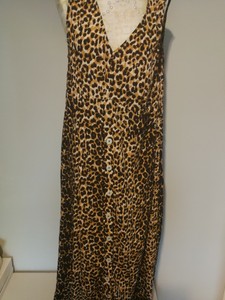 next animal dress