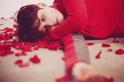 Super Junior Ryeowook-[The Little Prince] 1st Mini Album CD+