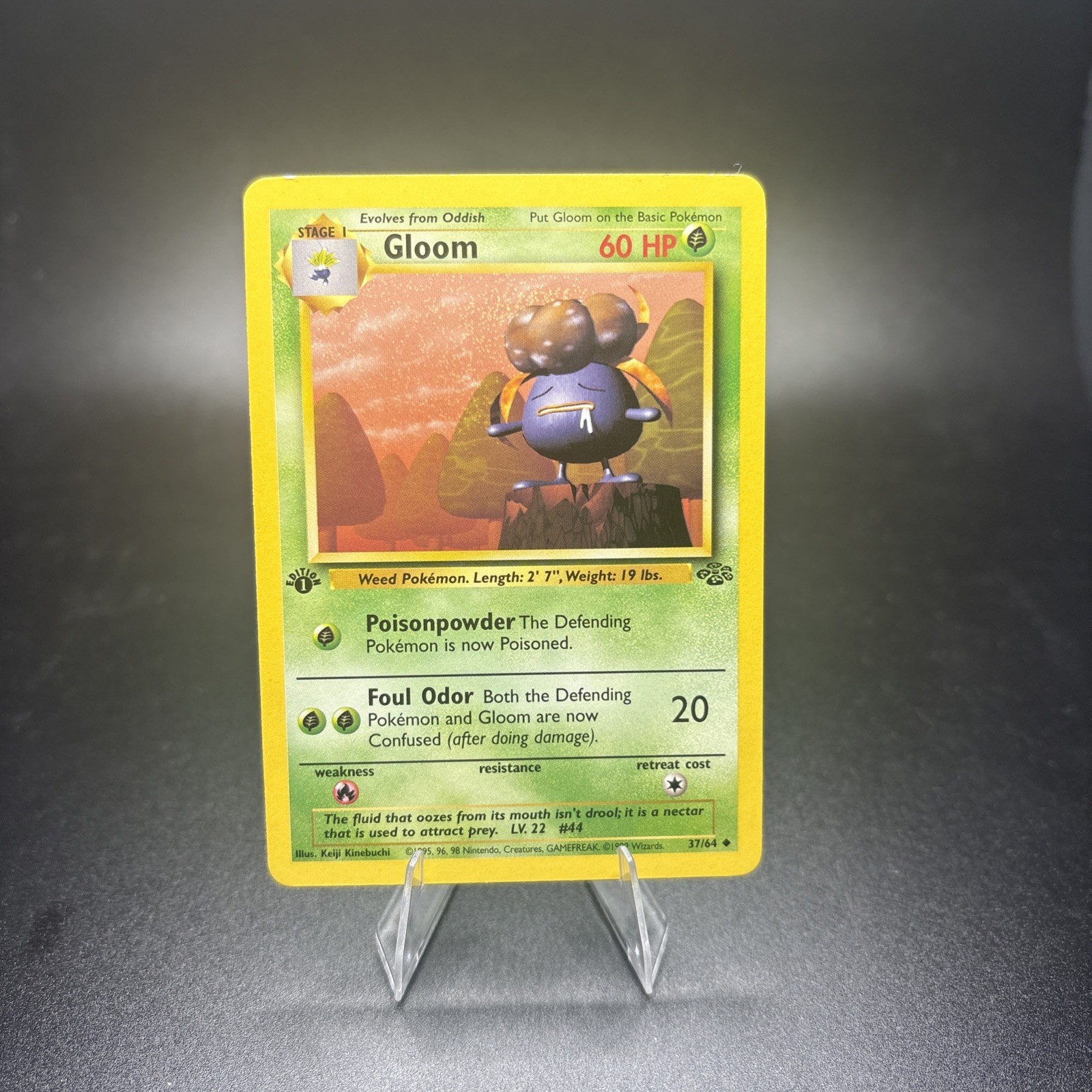 Pokemon Card Gloom 37/64 - NM - 1999 1st Edition Jungle - Uncommon Near Mint -j