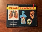 VOLUMETRIX/EDUCATIONAL BOOKLET 36/ANATOMY STUDIES/2 1963