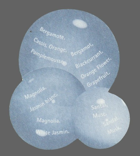Carte publicitaire - advertising card - Deauville de Michel Germain recto verso - Picture 2 of 2