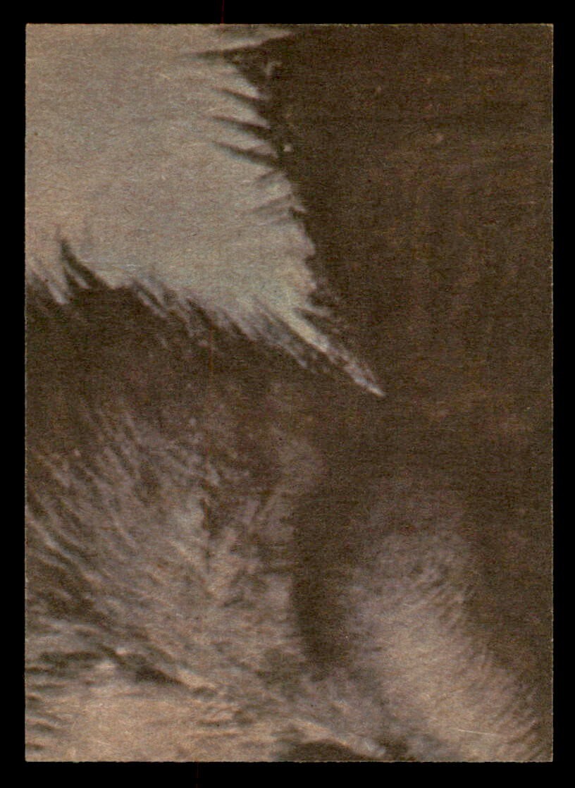 1976 Topps King Kong #39 Kong Falls From the World Trade