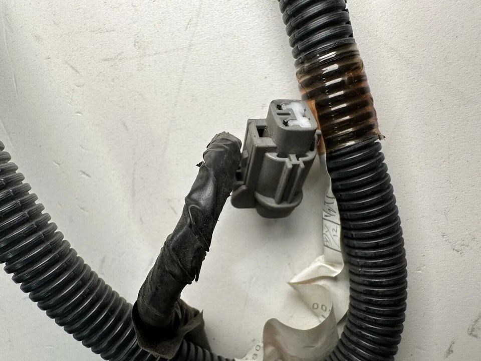 Arnés de cableado de luz trasera Nissan Máxima GLE 2000 FABRICANTE DE EQUIPOS ORIGINALES Foto 4 de 4