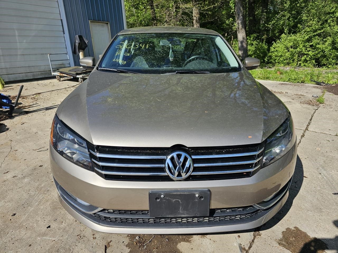 Picture 4