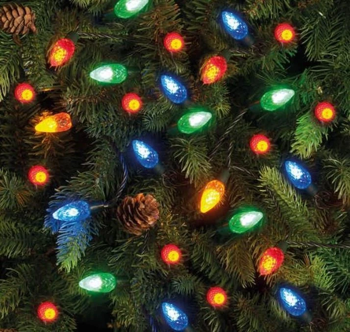 SOUTH EASTERN HORTICULTURAL 100 LED Strawberry String Lights Multicolour Christmas Lights