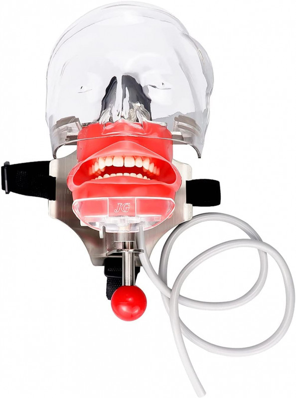 Dental Simulator Mannequin Head Teeth Model Chair-Type for Dental Education，US