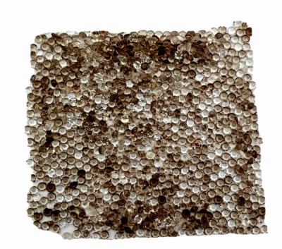 Natural Smoky Quartz Gemstone Round Cut Loose Stone Lot 140 Pcs 1.25 MM