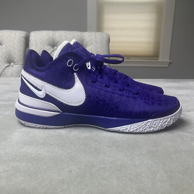Nike Zoom LeBron NXXT Gen TB Promo  display picture 2