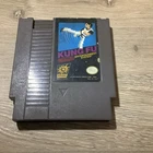 Kung Fu Nintendo Entertainment System NES Video Game 1985