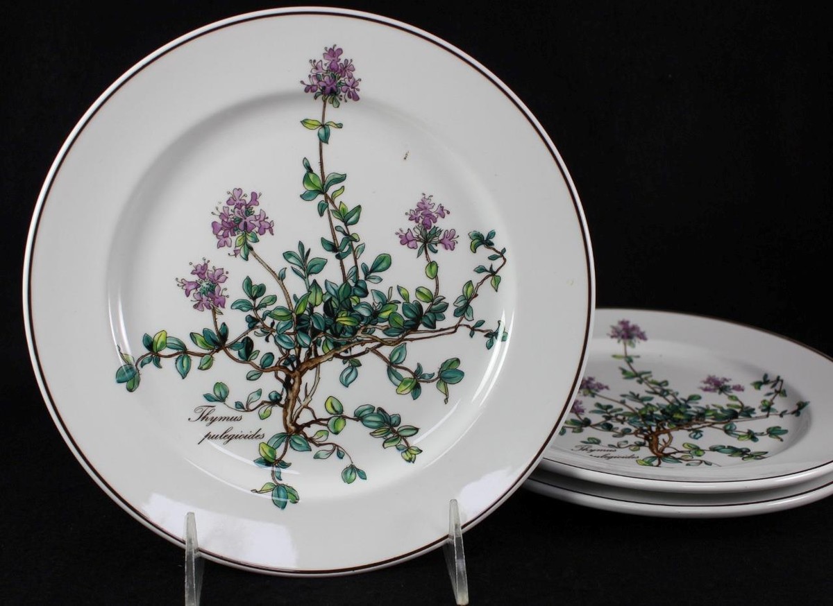 Villeroy Boch BOTANICA Salad Plates Thymus with Root GREAT CONDITION