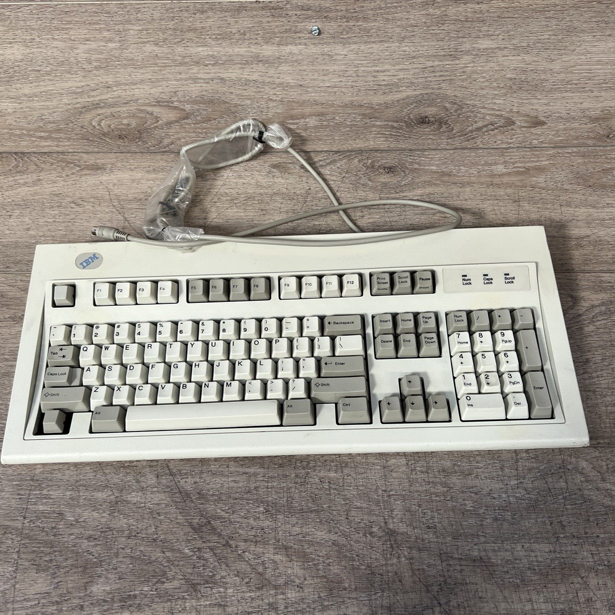 Vintage 1999 Blue Logo IBM Model M PS/2 Mechanical Keyboard