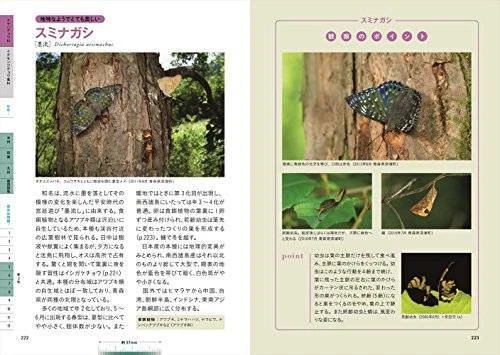 The Glorious Butterflies of Japan Field Guide Picture Book Insects