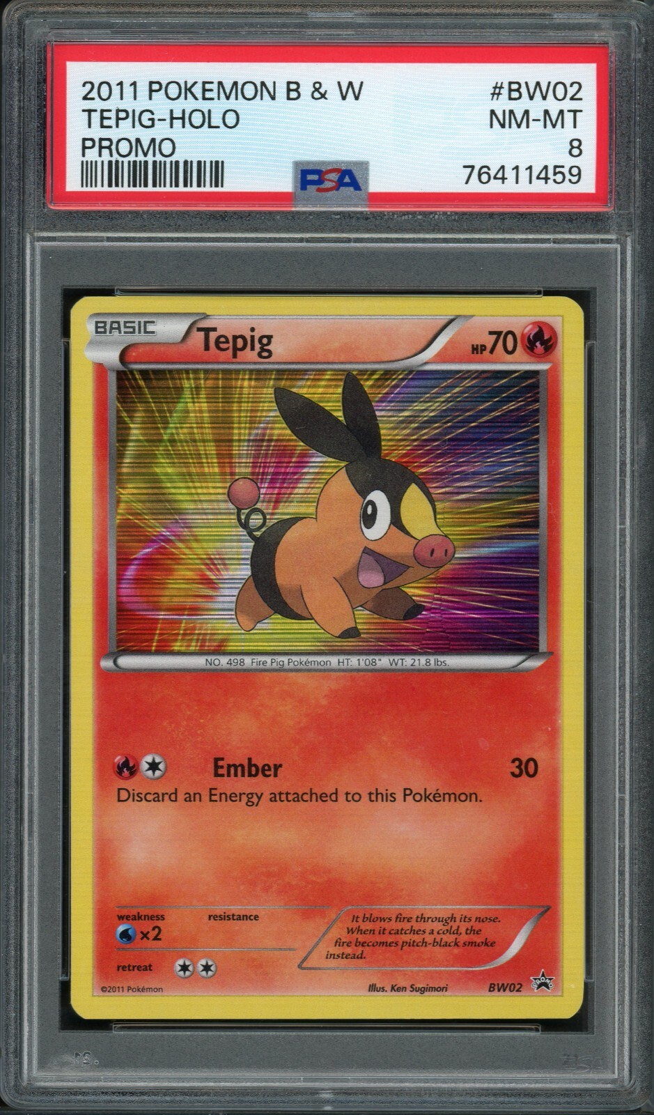 Pokemon PSA 8 NM-MT Black & White Black Star Promo Holo Tepig BW02 (MD)
