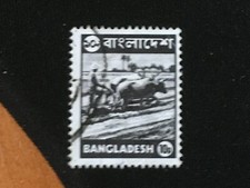 BANGLADESH 1976 LOCAL MOTIFS 10P SLATE BLACK OXEN HITCH PLOWING - FINE USED