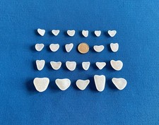 Genuine Beach Sea Glass Perfectly Heart-shaped Beautiful Whites Surf-tumbled