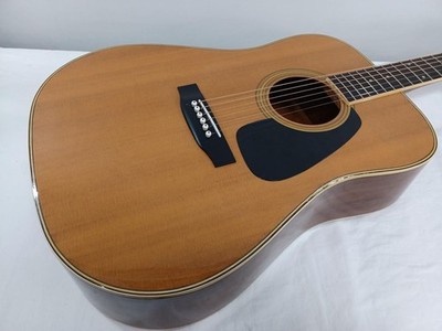 Morris Junk Akustikgitarre MD-505 gebraucht