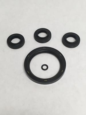 #ad AR2797 Oil Seal Kit for XJ pumps $21.24