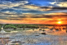 Ceramic Backsplash Tile Mural Real Life Kitchen/Bathroom - Everglades Sunset
