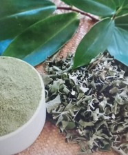 Dried Organic Insulin Plant leaves Best For Herbal Tea Sri Lanka