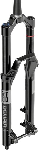 Domain Gold Isolator RC3 Federgabel - RockShox Domain Gold Isolator RC3