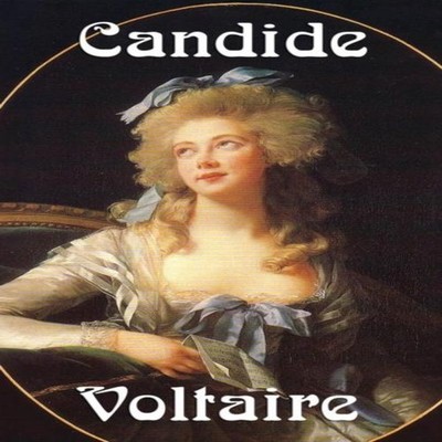 Candide Voltaire Hardcover Wilder Publications
