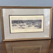 DIANNE KRUMEL Etching LIMITED EDITION  24/500: SANDPIPERS. Framed/Matte/Glass