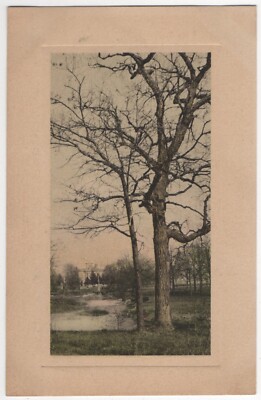VTG 1909 UNP Postcard, Bandstand & Old Tree at City Park, New Bedford, MA