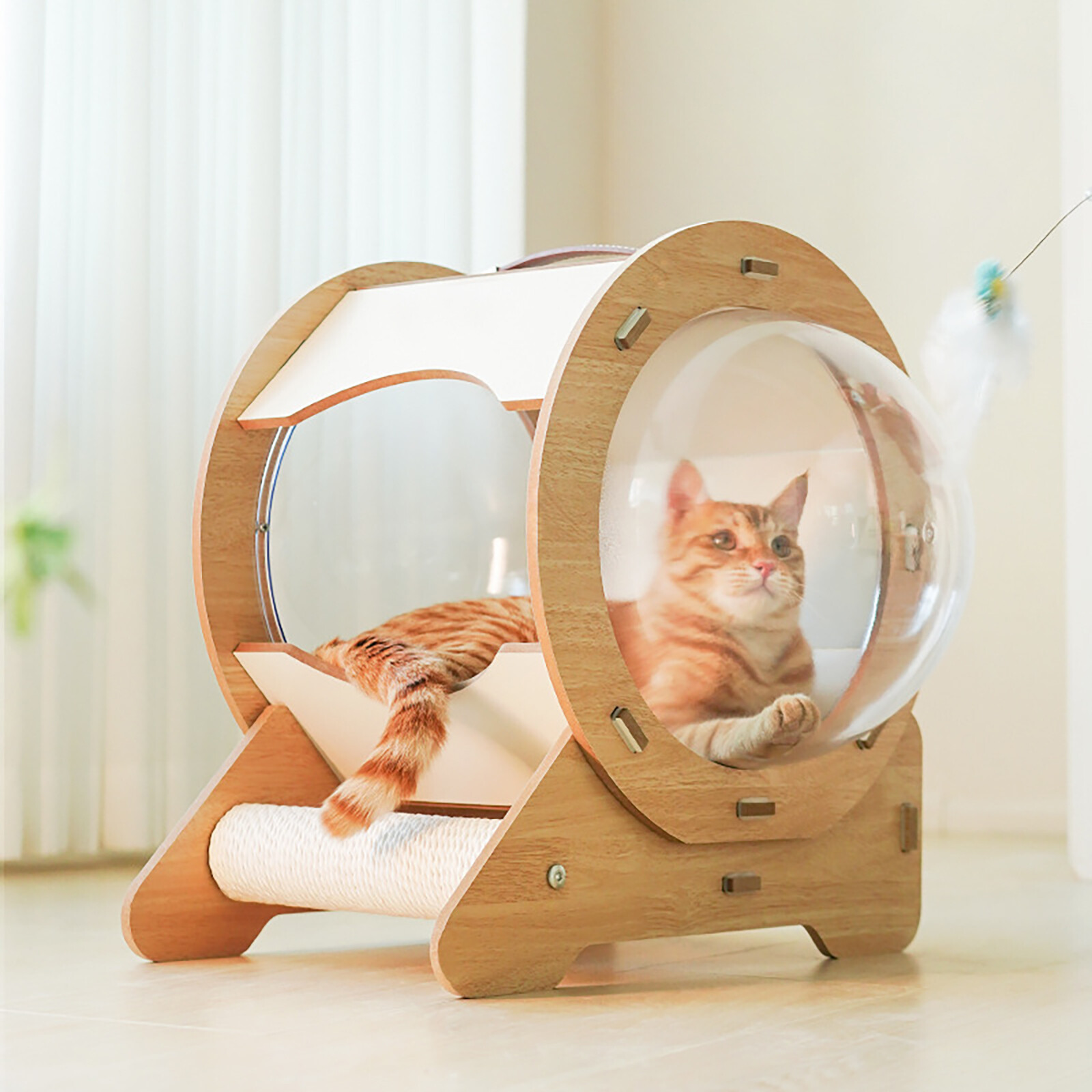 Clear Capsule Cat Bed Space Capsule Cat House Cat Bed w/Cushion+