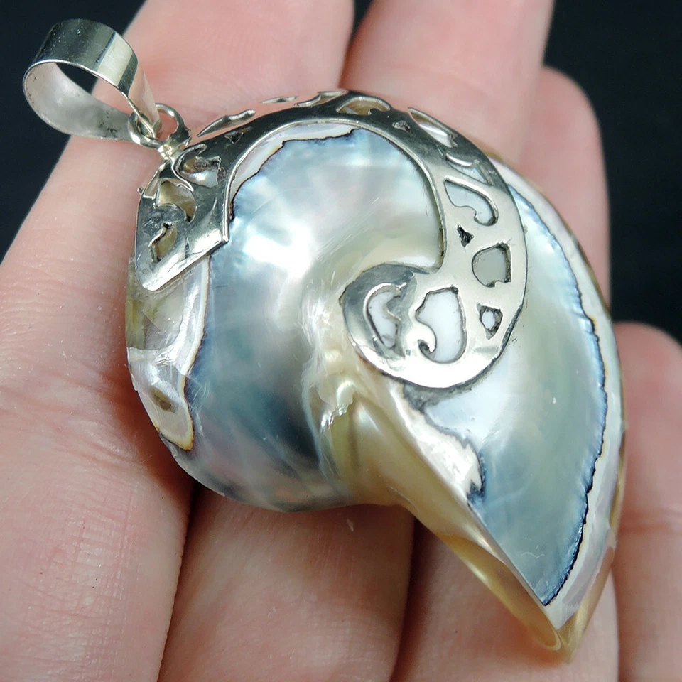 Gioielli con ciondolo Nautilus naturale trasparente in argento sterling 925, ... - Immagine 3 di 4