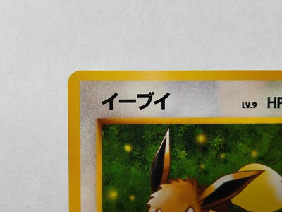 Pokemon Card Eevee 1996 No 133 Team Rocket Old Back Japanese | eBay