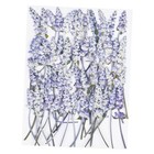 50Pcs Lavender Dried Pressed Flowers for Crafts,Xinxinran Dry Flowers Kit for 