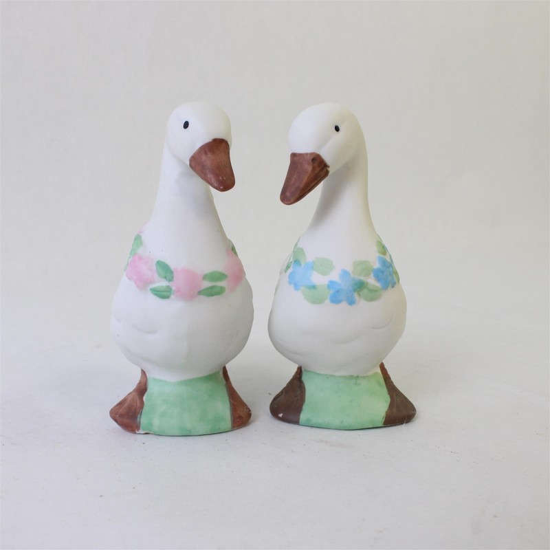 Vintage Goose & Gander Bisque Porcelain Salt Pepper Shakers Floral Taiwan