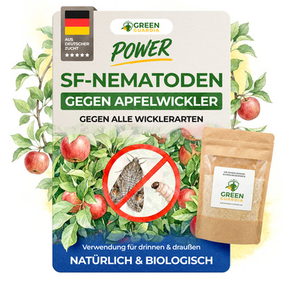 SF Nematoden gegen Apfelwickler 2Mio. bis 50Mio.-effektiv Apfelwickler bekämpfen