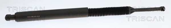 Heckklappen DäMpfer Gasfeder Kofferraum Triscan 8710 11295 FüR Bmw 5Er Touring-image