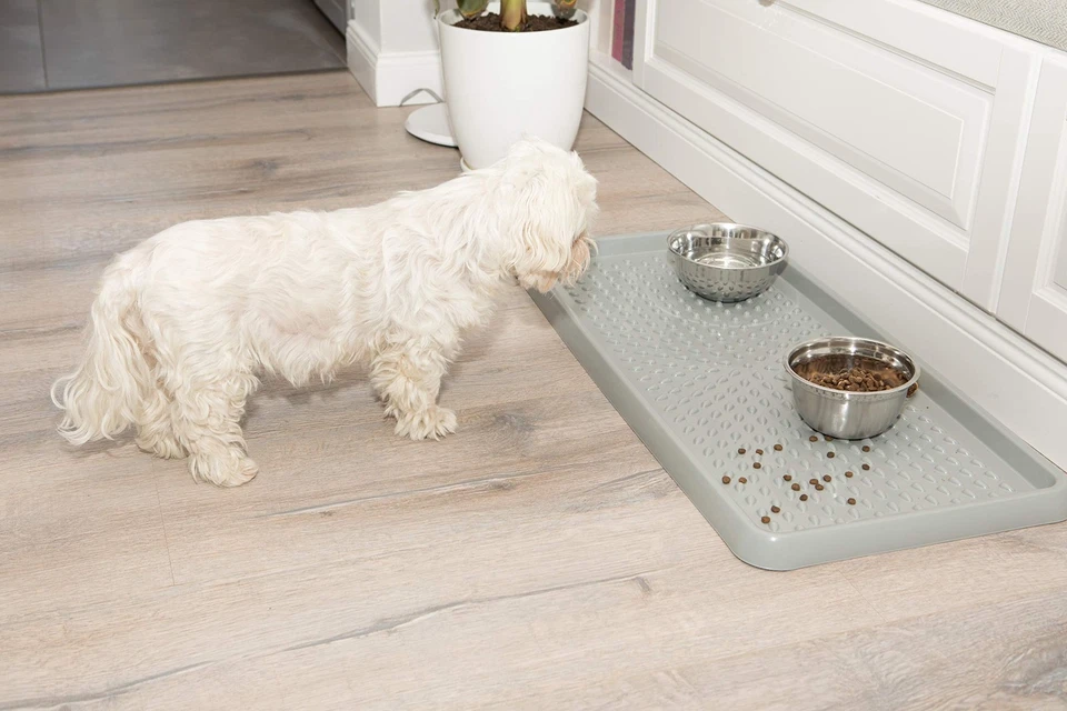 BranQ - Home Essential BranQ Plastic Shoe Rack, PP, Light Grey, 1-Pcs,... - Image 3 of 4