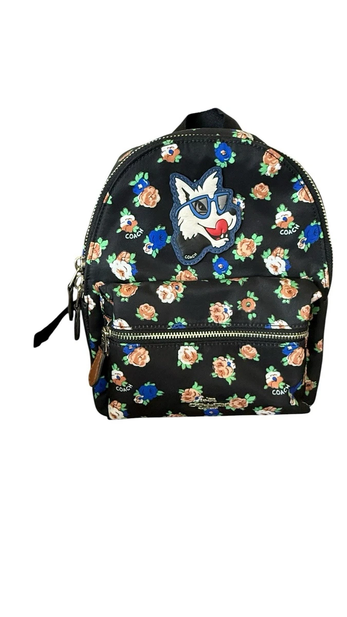 best professional laptop backpacks Amazon Sellers: Best ebay clam straight line Stands upright Divers Model:Bravo 10/12