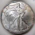 1996 SILVER EAGLE - 1oz .999 Pure - Gpod Case of the CREEPIN CRUD...CK IT OUT!