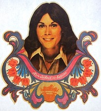 Original Vintage 1976 Charlie's Angels Kate Jackson as Sabrina Iron On Transfer