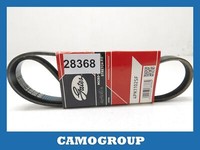 Zahnriemen V-Gerippt Belt Gates FüR Citroen Jumper Fiat Ducato Daily